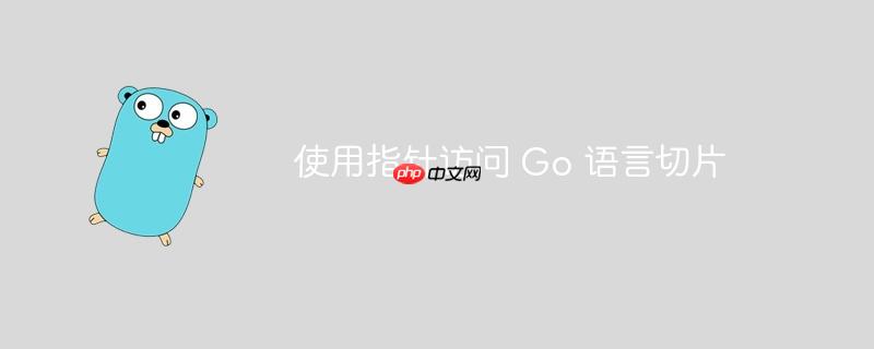  使用指针访问 Go 语言切片

