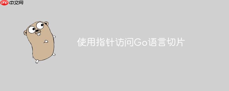  使用指针访问Go语言切片

