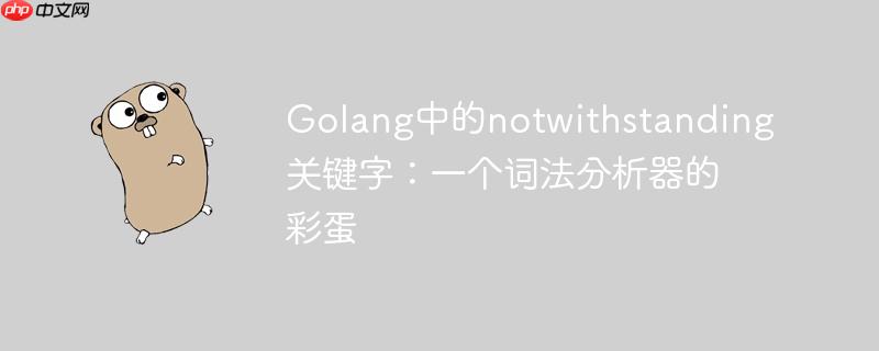 golang中的notwithstanding关键字：一个词法分析器的彩蛋