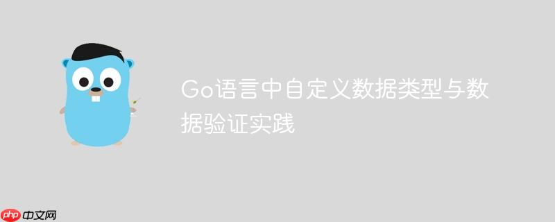 Go语言中自定义数据类型与数据验证实践