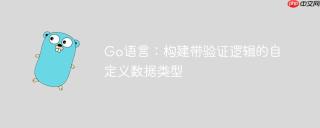 Go语言：构建带验证逻辑的自定义数据类型