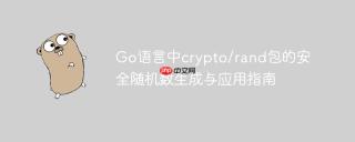 Go语言中crypto/rand包的安全随机数生成与应用指南