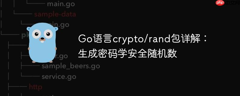 Go语言crypto/rand包详解：生成密码学安全随机数
