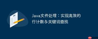Java文件处理：实现高效的行计数与关键词查找