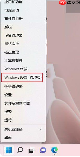 Win11命令提示符怎么打开 Win11命令提示符打开方法
