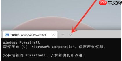 Win11命令提示符怎么打开 Win11命令提示符打开方法