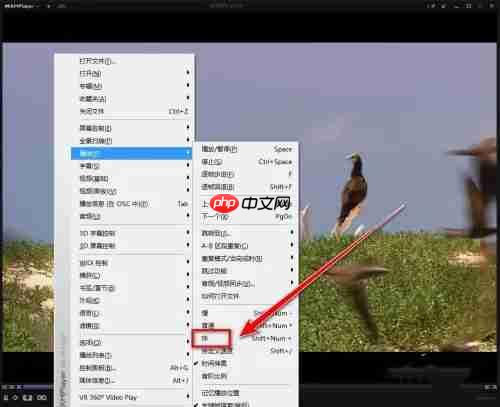 kmplayer plus如何加速?kmplayer plus加速的操作方法