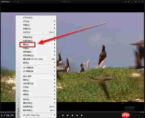 kmplayer plus如何加速?kmplayer plus加速的操作方法