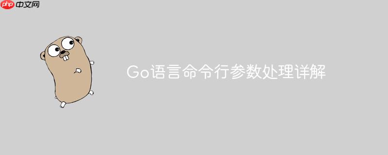 Go语言命令行参数处理详解