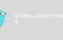 深入理解Go语言命令行参数处理