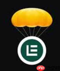 layer币是什么