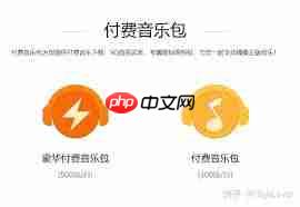 QQ音乐付费音乐包怎么开通