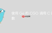 使用 Go 的 CGO 调用 C 函数