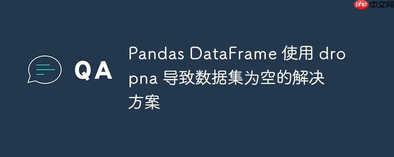 pandas dataframe 使用 dropna 导致数据集为空的解决方案