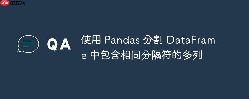 使用 pandas 分割 dataframe 中包含相同分隔符的多列