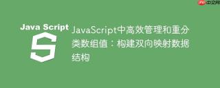 JavaScript中高效管理和重分类数组值：构建双向映射数据结构