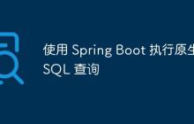 使用 Spring Boot 執(zhí)行原生 SQL 查詢