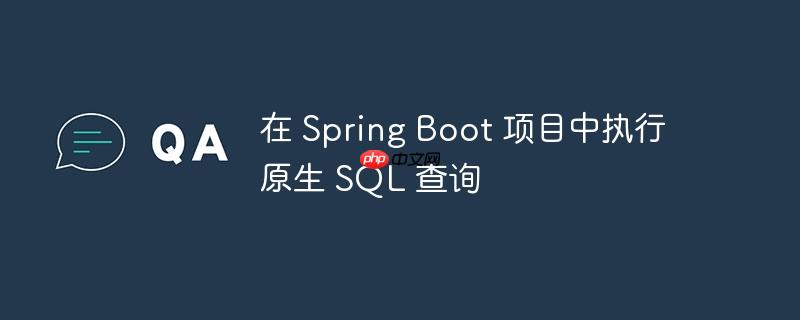在 Spring Boot 项目中执行原生 SQL 查询-小浪学习网