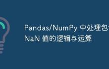 Pandas/NumPy 中处理包含 NaN 值的逻辑与运算