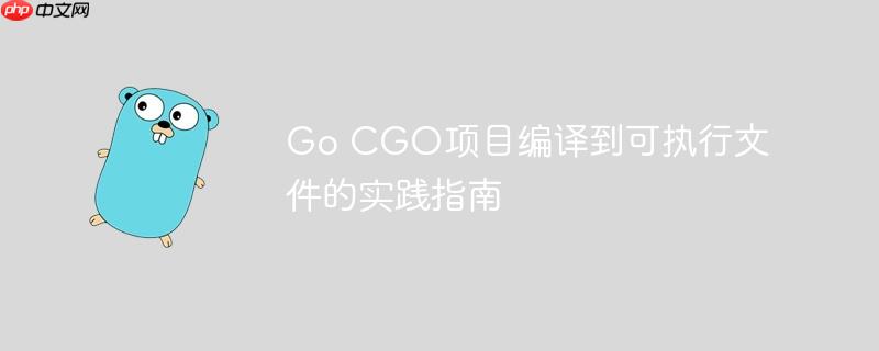 Go CGO项目编译到可执行文件的实践指南