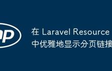 在 Laravel Resource 中优雅地显示分页链接