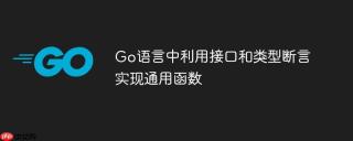 Go语言中利用接口和类型断言实现通用函数