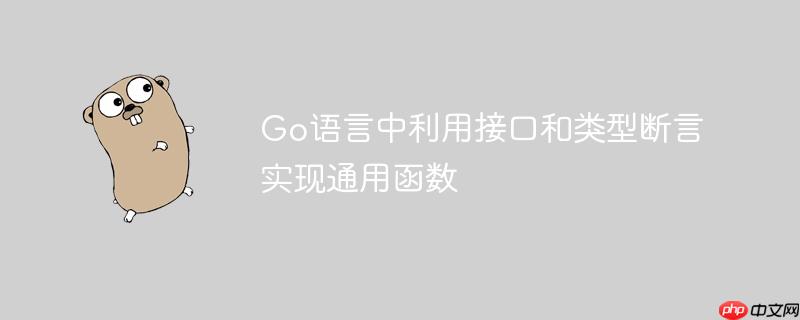 Go语言中利用接口和类型断言实现通用函数