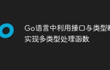 Go语言中利用接口与类型断言实现多类型处理函数
