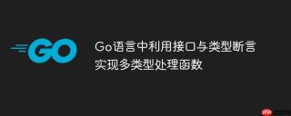 Go语言中利用接口与类型断言实现多类型处理函数