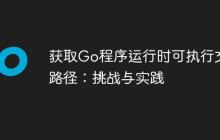 获取Go程序运行时可执行文件路径：挑战与实践