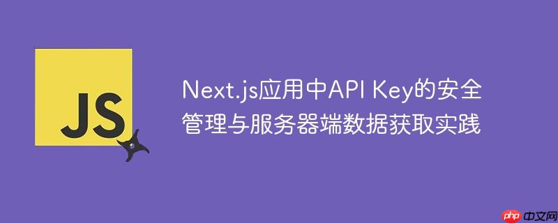 next.js应用中api key的安全管理与服务器端数据获取实践