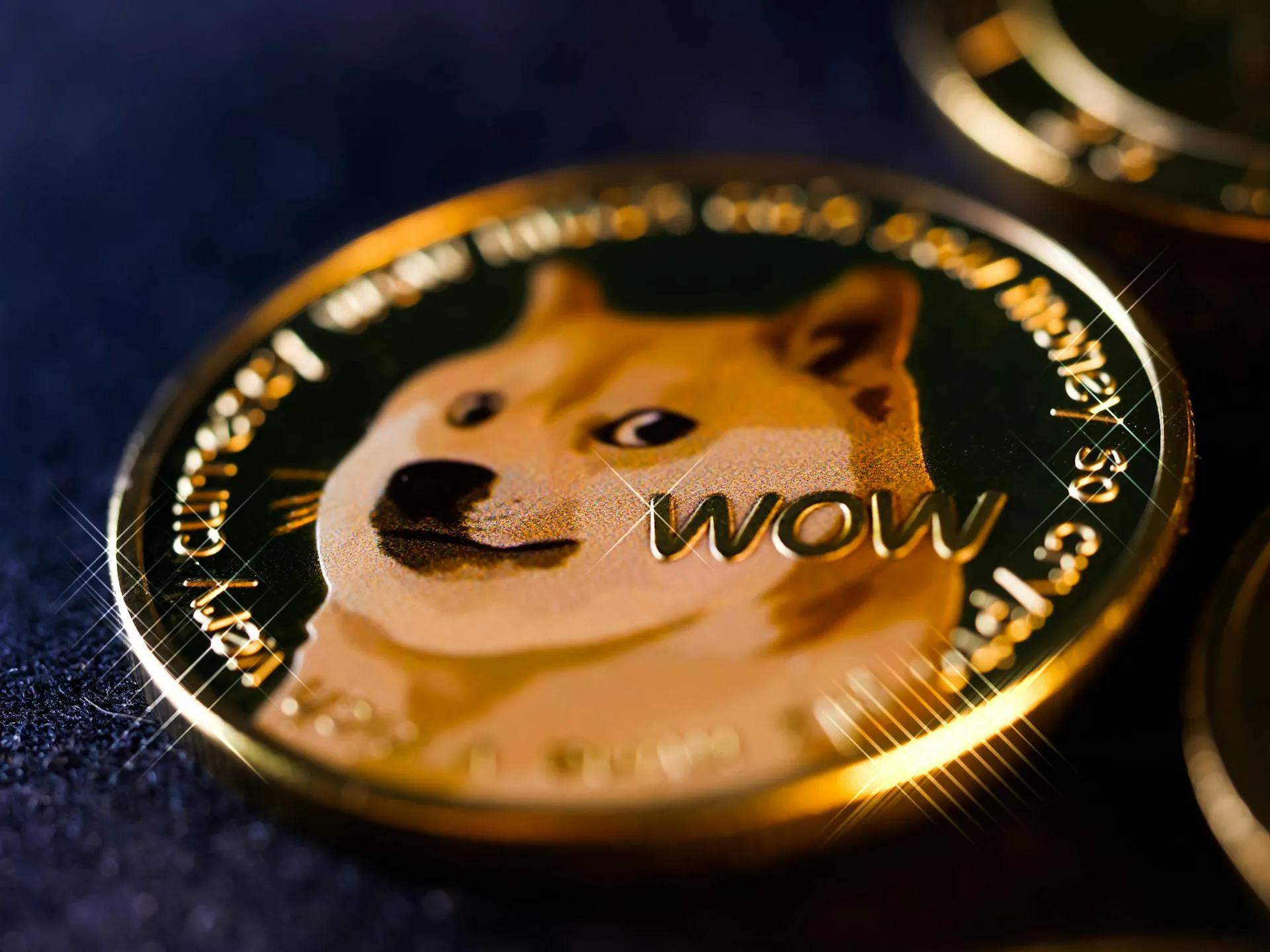 SHIB、LILPEPE 与迷因币狂热:2025 年最火的是什么?