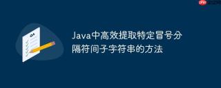 Java中高效提取特定冒号分隔符间子字符串的方法