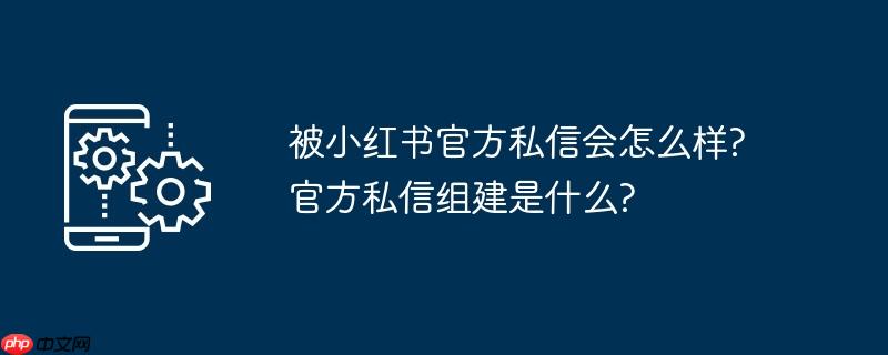 被小红书官方私信会怎么样?官方私信组建是什么?