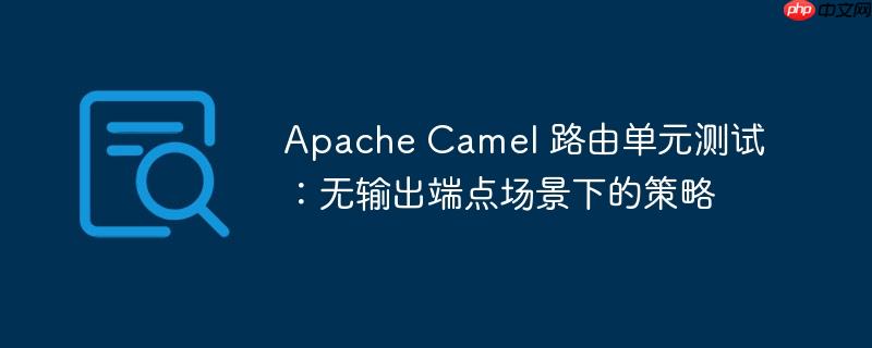 Apache Camel 路由单元测试：无输出端点场景下的策略
