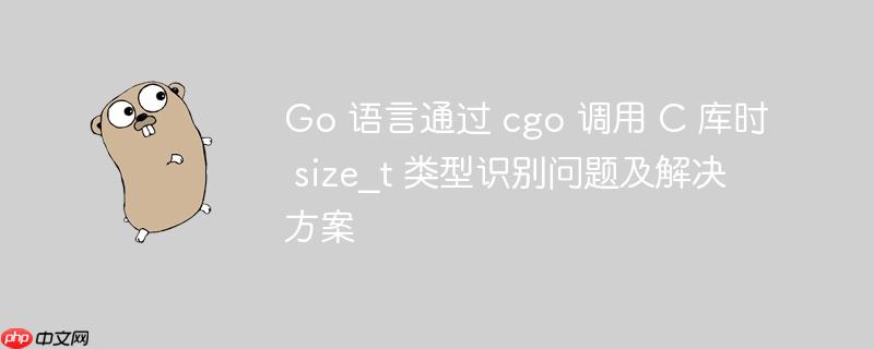 Go 语言通过 cgo 调用 C 库时 size_t 类型识别问题及解决方案-小浪学习网