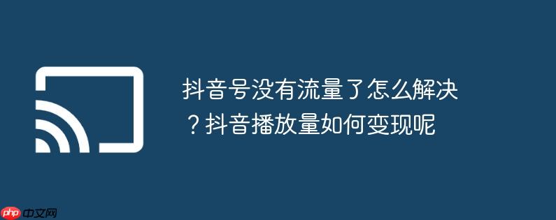 抖音号没有流量了怎么解决？抖音播放量如何变现呢