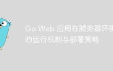 Go Web 应用在服务器环境中的运行机制与部署策略