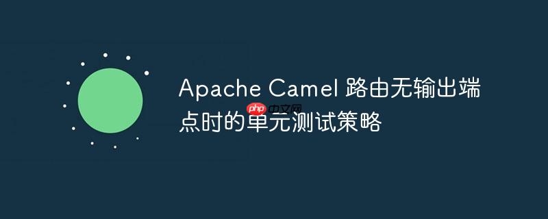 Apache Camel 路由无输出端点时的单元测试策略-小浪学习网