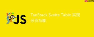 TanStack Svelte Table 实现分页功能