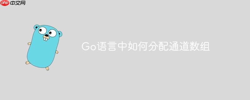 Go语言中如何分配通道数组-小浪学习网
