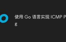 使用 Go 语言实现 ICMP Ping
