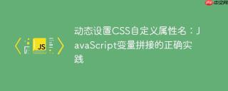 动态设置CSS自定义属性名：JavaScript变量拼接的正确实践