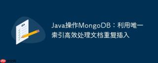Java操作MongoDB：利用唯一索引高效处理文档重复插入
