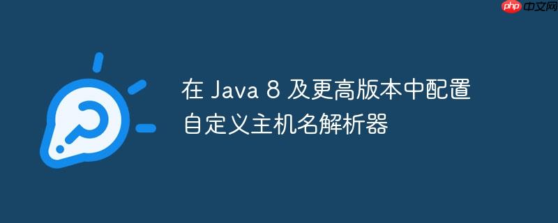在 Java 8 及更高版本中配置自定义主机名解析器-小浪学习网