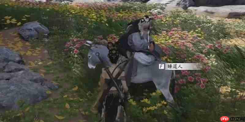 燕云十六声驴道人任务怎么过 驴道人任务流程