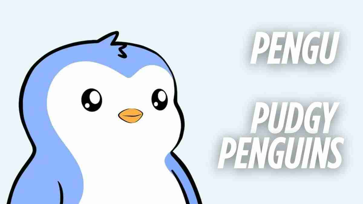 Pengu 爆炸:乘着增长与炒作的浪潮前行