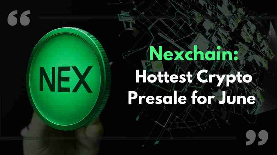 Solaxy、Nexchain 与加密货币预售市场:当下热门一览