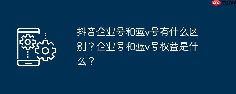 抖音企业号和蓝v号有什么区别？企业号和蓝v号权益是什么？