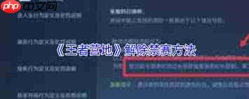 王者营地如何解除禁赛